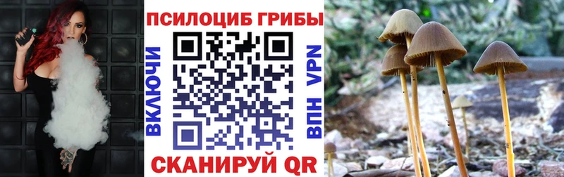 Галлюциногенные грибы MAGIC MUSHROOMS  Малая Вишера 