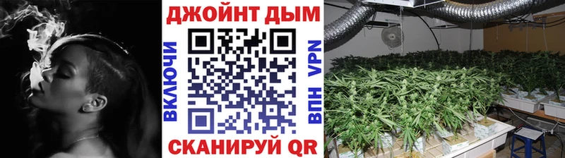 Бошки Шишки план где можно купить блэк спрут ONION Малая Вишера